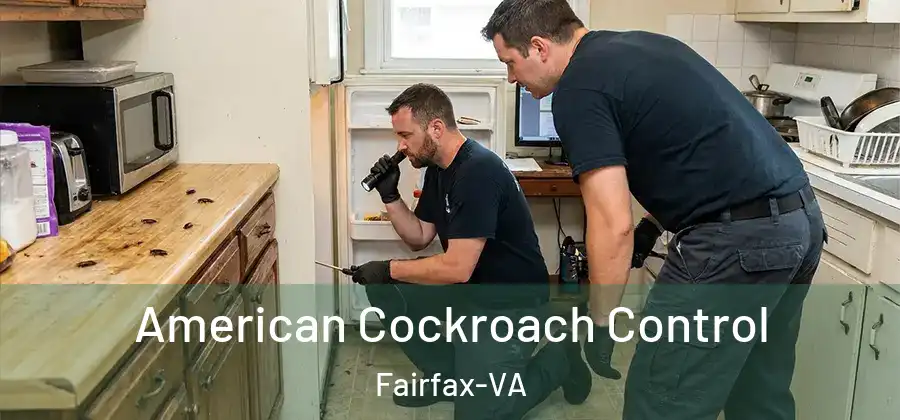 American Cockroach Control Fairfax-VA