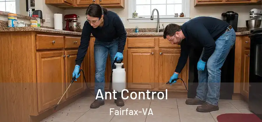 Ant Control Fairfax-VA
