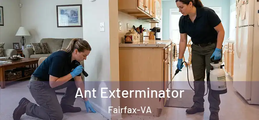 Ant Exterminator Fairfax-VA