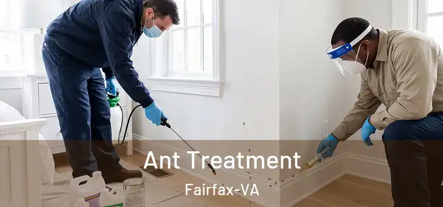 Ant Treatment Fairfax-VA