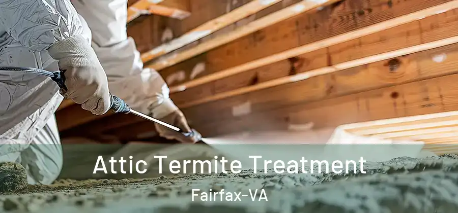 Attic Termite Treatment Fairfax-VA