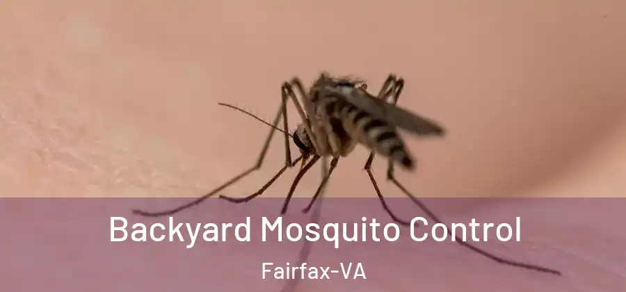 Backyard Mosquito Control Fairfax-VA