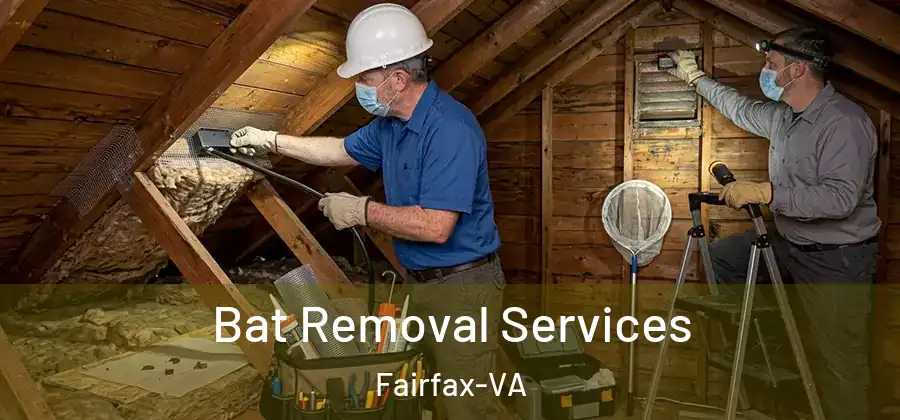 Bat Removal Services Fairfax-VA