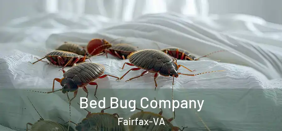 Bed Bug Company Fairfax-VA
