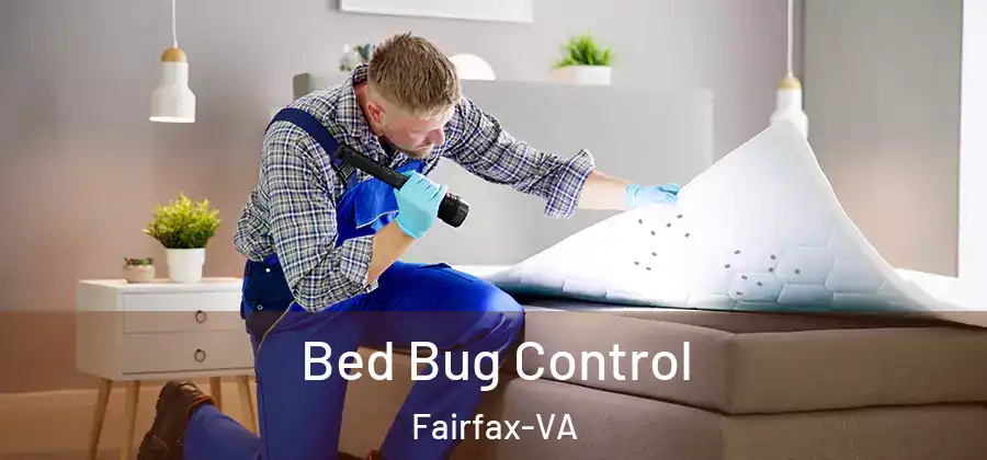 Bed Bug Control Fairfax-VA