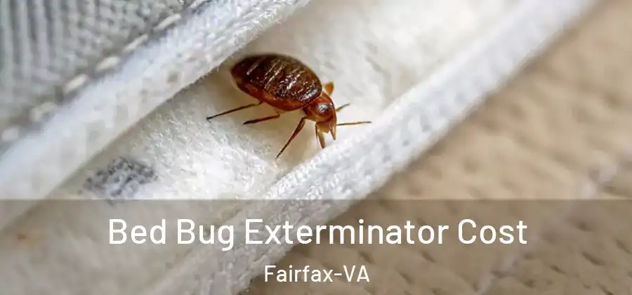 Bed Bug Exterminator Cost Fairfax-VA