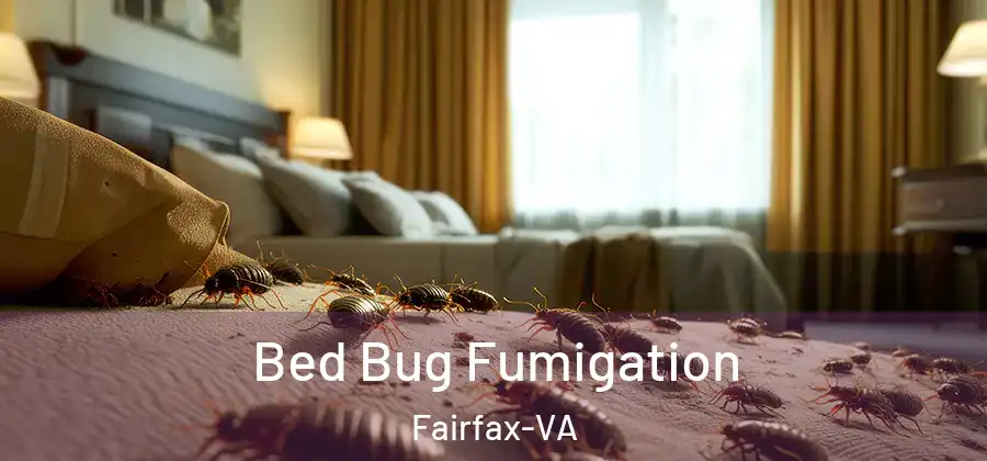 Bed Bug Fumigation Fairfax-VA