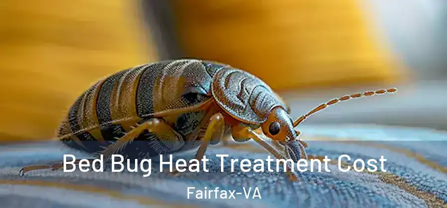 Bed Bug Heat Treatment Cost Fairfax-VA