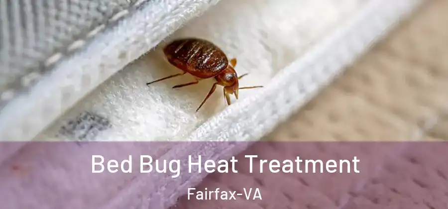 Bed Bug Heat Treatment Fairfax-VA