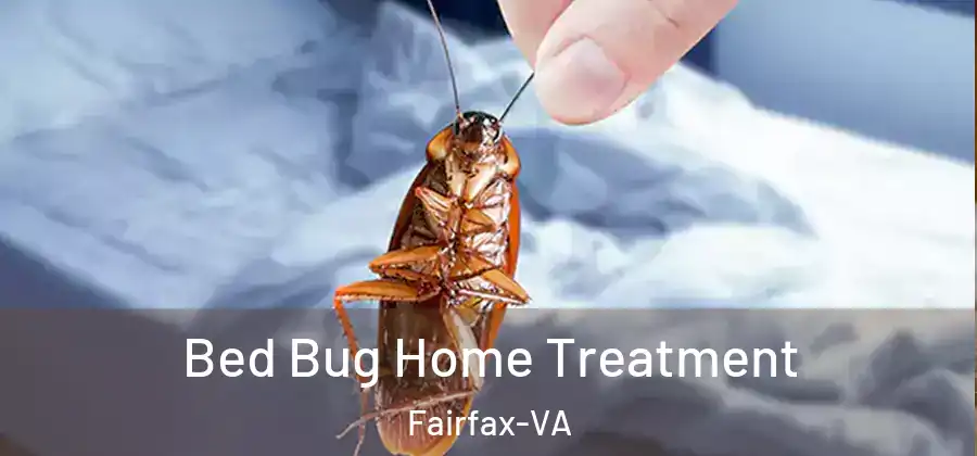 Bed Bug Home Treatment Fairfax-VA