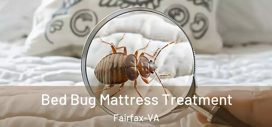 Bed Bug Mattress Treatment Fairfax-VA