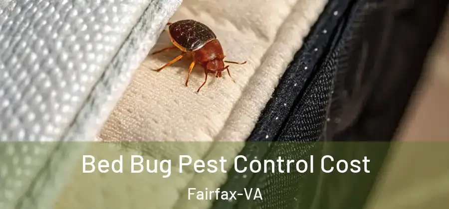 Bed Bug Pest Control Cost Fairfax-VA