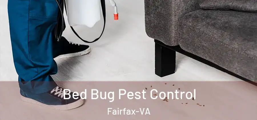 Bed Bug Pest Control Fairfax-VA