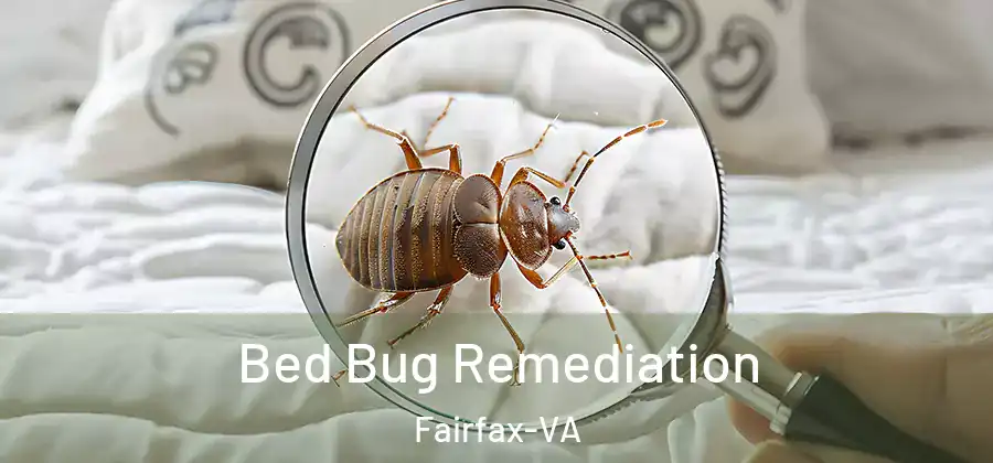 Bed Bug Remediation Fairfax-VA
