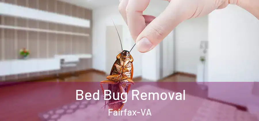 Bed Bug Removal Fairfax-VA