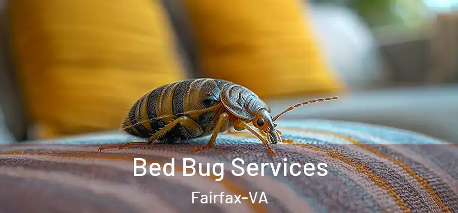 Bed Bug Services Fairfax-VA