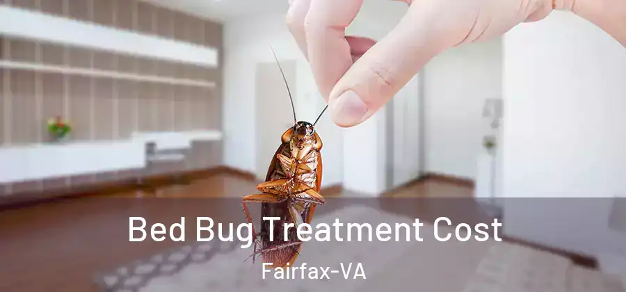 Bed Bug Treatment Cost Fairfax-VA