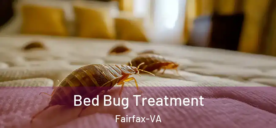 Bed Bug Treatment Fairfax-VA