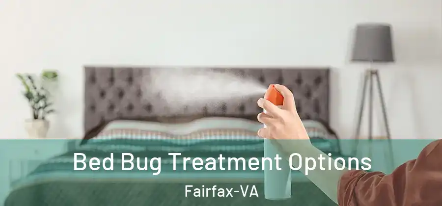 Bed Bug Treatment Options Fairfax-VA