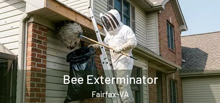 Bee Exterminator Fairfax-VA