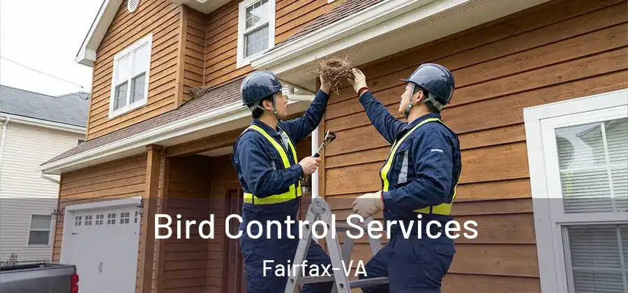 Bird Control Services Fairfax-VA