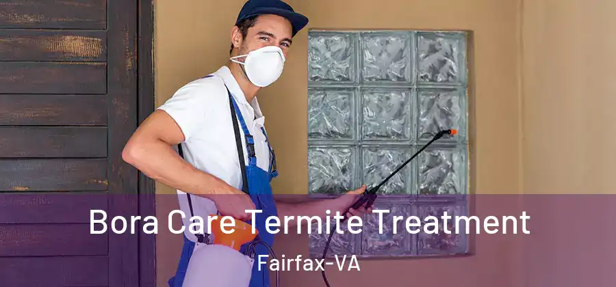 Bora Care Termite Treatment Fairfax-VA