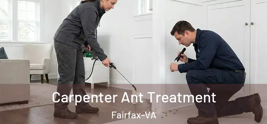 Carpenter Ant Treatment Fairfax-VA