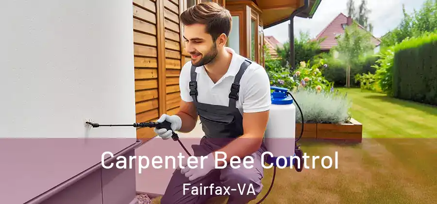 Carpenter Bee Control Fairfax-VA