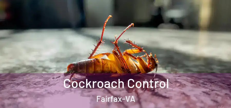 Cockroach Control Fairfax-VA