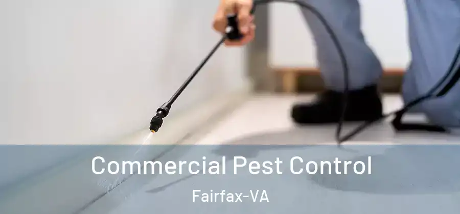 Commercial Pest Control Fairfax-VA
