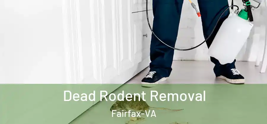 Dead Rodent Removal Fairfax-VA