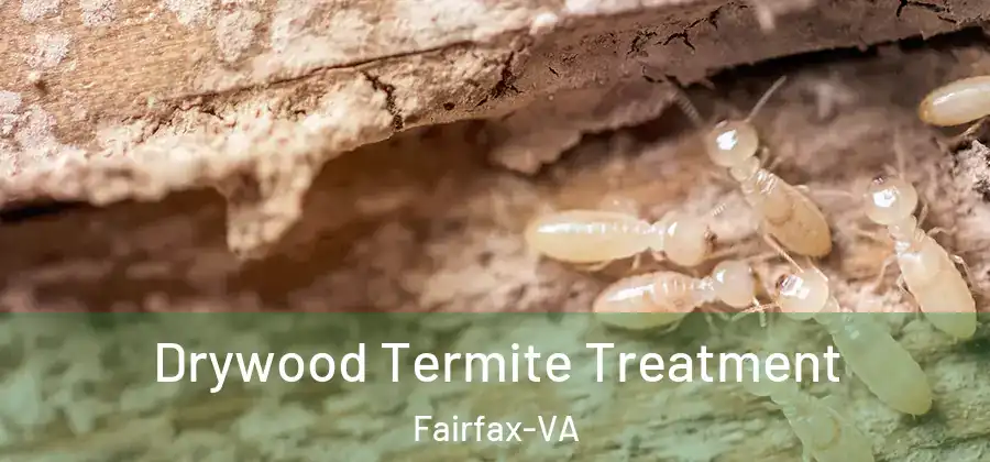 Drywood Termite Treatment Fairfax-VA