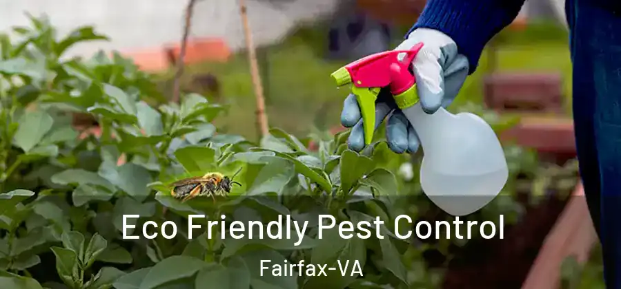 Eco Friendly Pest Control Fairfax-VA