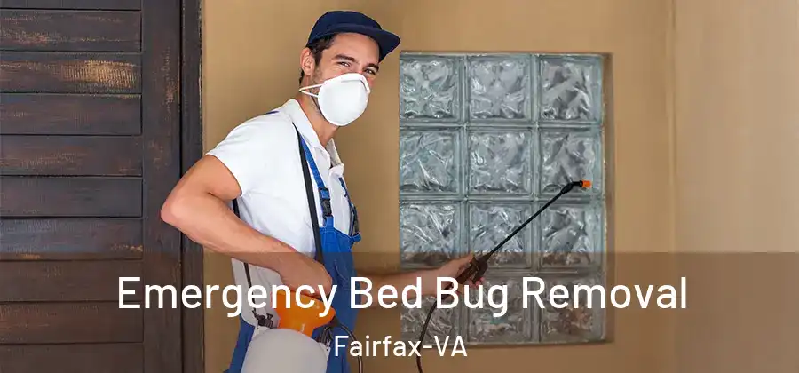 Emergency Bed Bug Removal Fairfax-VA
