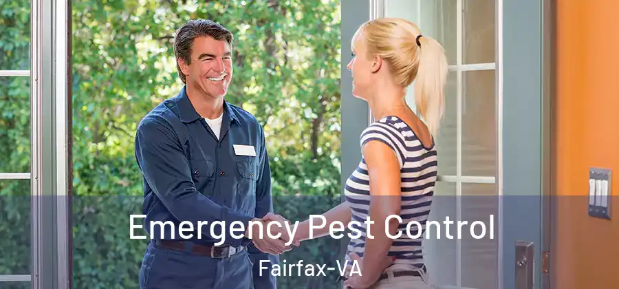 Emergency Pest Control Fairfax-VA
