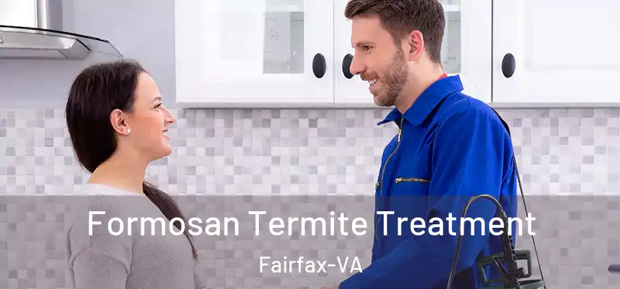 Formosan Termite Treatment Fairfax-VA