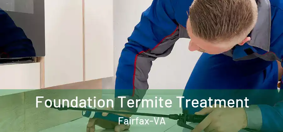 Foundation Termite Treatment Fairfax-VA