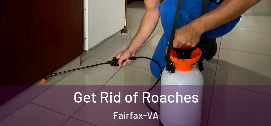 Get Rid of Roaches Fairfax-VA