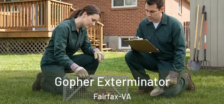 Gopher Exterminator Fairfax-VA