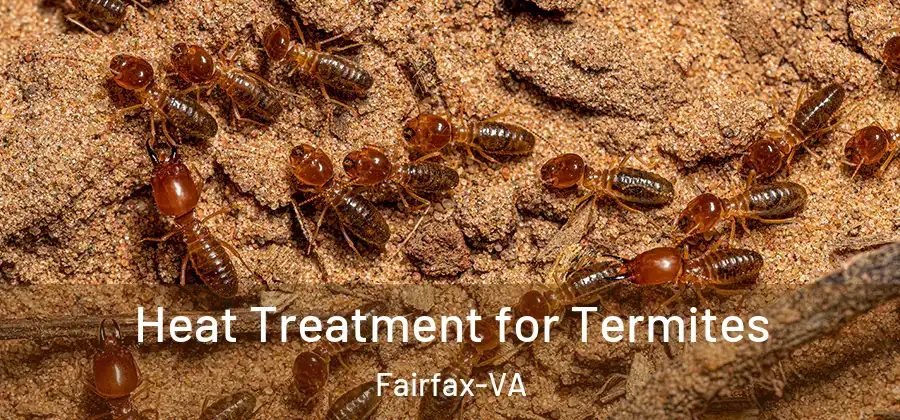 Heat Treatment for Termites Fairfax-VA