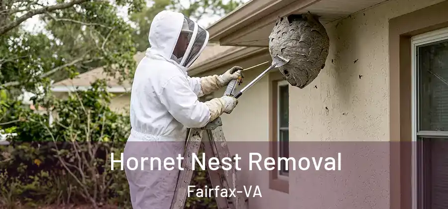 Hornet Nest Removal Fairfax-VA