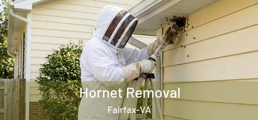 Hornet Removal Fairfax-VA