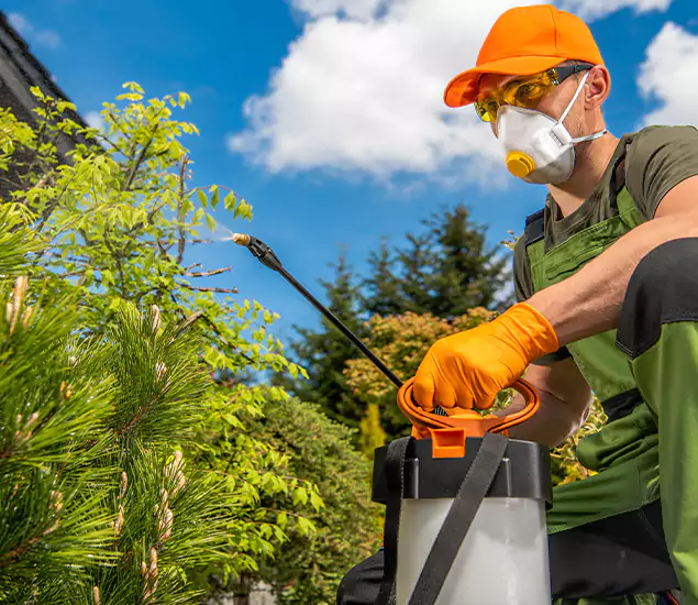 Your Mosquito Repellent Barrier Service in Fairfax, VA