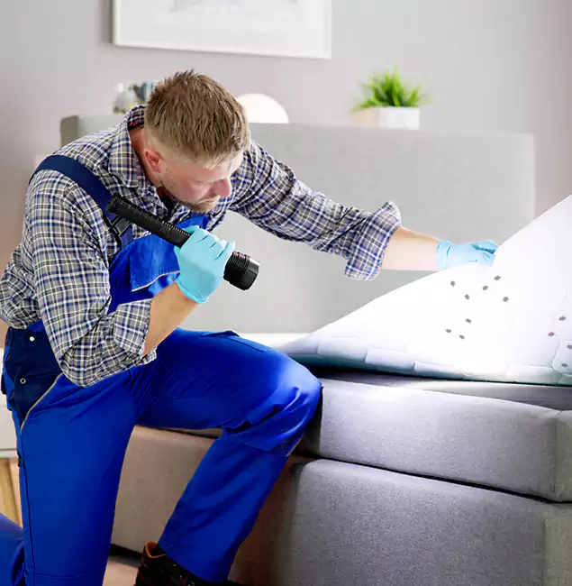 Why Choose Fairfax Pest Control Pros For Bed Bug Heat Treatment in Fairfax, VA?