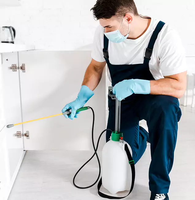 Why Choose Fairfax Pest Control Pros for Indoor Pest Control in Fairfax, VA?