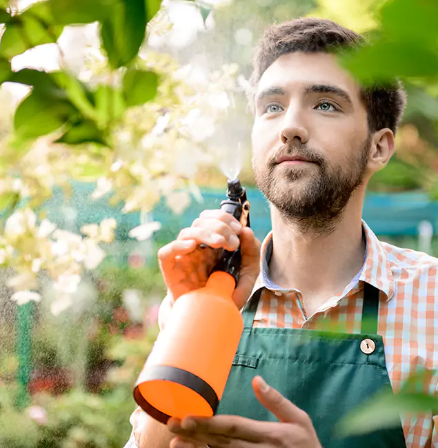 Why Fairfax Homeowners Call Fairfax Pest Control Pros for Mosquitoes in House?