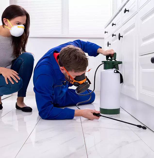 Why Choose Fairfax Pest Control Pros in Fairfax, VA?