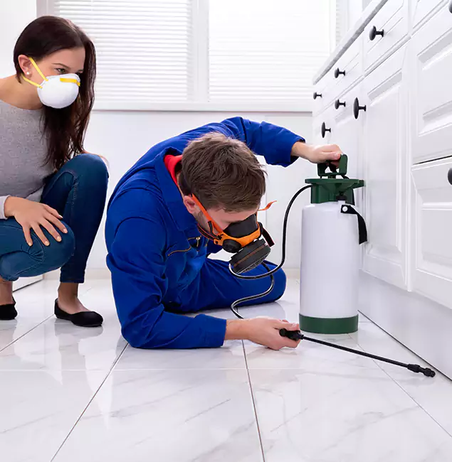 Why Choose Wood Termite Treatment by Fairfax Pest Control Pros in Fairfax, VA?