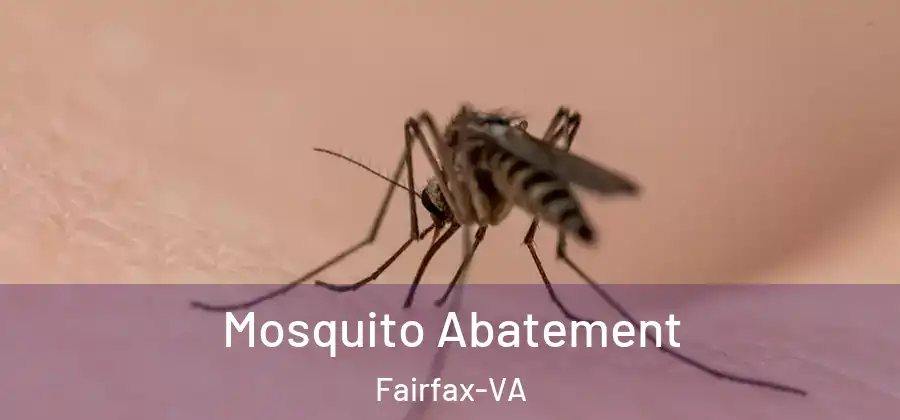 Mosquito Abatement Fairfax-VA