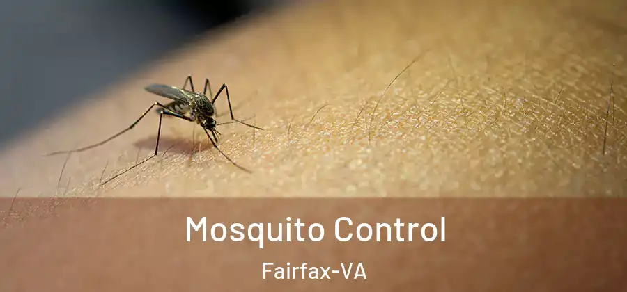 Mosquito Control Fairfax-VA
